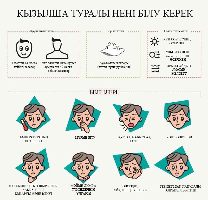 "Қызылша туралы ақпарат"